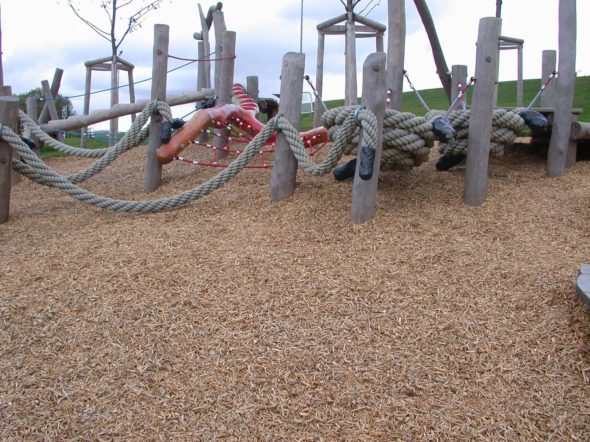 Holzhackschnitzel (1000kg) – Bild 2